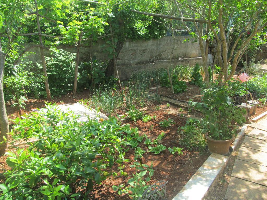 Apartment Artusi PUY 객실 사진
